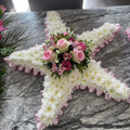 Star Tributes 