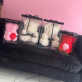 Small Bears